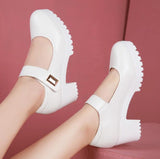 Niulatu Shoes Women Wedding Shoes 2025 Spring Autumn 5.5cm/8cm/13cm High Heels Pumps Ladies Party Office Leather Shoe DJSE