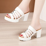 Niulatu 32-43 Summer Wedding Shoes Women Slippers Platform 2025 High Heels Slides Ladies Gladiator Shoes Office Slippers DJSE