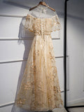 Niulatu tulle lace long prom dress champagne formal dress HZ1110