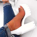 Niulatu Furry Sandals Fashion Shoes Ladies Banquet Women's High Heel Fur Platform Summer Outdoor Party Buckle Slippers Spring DJSE
