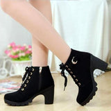 Niulatu Women's Heeled Ankle Boots Ladies Autumn Winter Women Shoes High Heels 8.5cm Female Boot Botas De Mujer Plus Size 41 42 DJSE