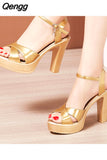 Niulatu High Heels Ladies Summer Dress Shoes For Women 2025 Female Patent Leather Platform Wedge Heel Elegant Sandal DJSE