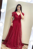 Niulatu A-line V Neck Long Evening Dress HZ1007
