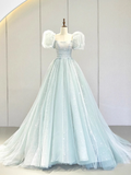 Niulatu Gown Short Sleeves Tulle Light Sky Blue Long Prom Dresses HZ1110