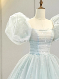 Niulatu Gown Short Sleeves Tulle Light Sky Blue Long Prom Dresses HZ1110