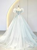 Niulatu Gown Short Sleeves Tulle Light Sky Blue Long Prom Dresses HZ1110