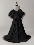 Niulatu A- Line Tulle Long Prom Dress Long Formal Dress HZ1110