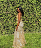 Niulatu V Neck Lace Mermaid Prom Dress Long Evening Dress HZ0113