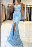 Niulatu Mermaid V-neck Backless Long Prom Dress With Lace HZ1007