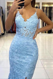 Niulatu Mermaid V-neck Backless Long Prom Dress With Lace HZ1007