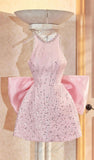 Niulatu A Line Scoop Short Pink Homecoming Dress Birthday Outfit HZ1110