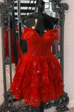 Niulatu Sequin A-Line Homecoming dress with Sheer Corset Bodice and Ruffle Skirt HZ1110