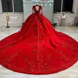 Niulatu Ball Gown V Neckline Red Long Sleeves Lace Long Wedding Dresses With Beads HZ1110
