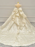 Niulatu Ball Gown Sweetheart Long Puffy Sleeves Sequin Wedding Dresses With Bowknot HZ1110