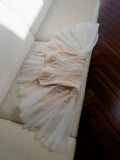Niulatu A line Spaghetti Straps Champagne Short Sequin Homecoming Dresses Cocktail Dress HZ1110