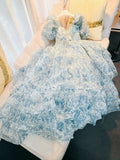 Niulatu Princess Sweetheart Short Sleeves Blue Flora Prom Dress Evening Dresses HZ1110