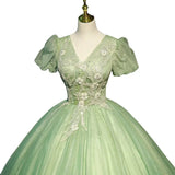 Niulatu Ball Gown V Neckline Sage Green Tulle Long Flowers Sweet 16 Dresses HZ1110