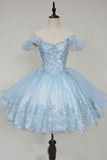 Niulatu Ball Gown Off The Shoulder Lace Light Sky Blue Homecoming Dress Short Birthday Outfit HZ1110