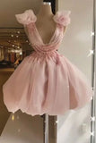 Niulatu Ball Gown V Neckline Light Pink Organza Homecoming Dress Short Birthday Outfit HZ1110