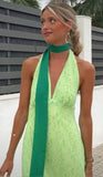 Niulatu A Line V Neckline Straps Green Long Prom Dresses Evening Dress HZ1110