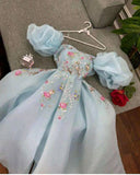Niulatu A Line Square Neckline Blue Organza Long Prom Dresses Party Dress HZ1110