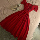 Niulatu Off The Shoulder Pleated V-Neck Spaghetti Strap Prom Dresses Evening Dress HZ1110