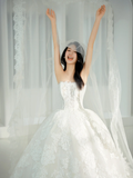 Niulatu Elegant A Line Strapless White Tulle Lace With Veil Long Wedding Dresses HZ1110