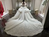 Niulatu Ball Gown Off The Shoulder Satin Tulle Applique With Veil Long Wedding Dresses HZ1110
