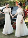Niulatu A Line Chiffon Long Bridesmaid Dress HZ1110