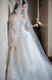 Niulatu Ball Gown Spaghetti Straps Tulle Lace Applique Long Wedding Dresses HZ1110