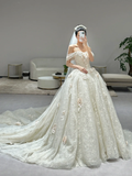 Niulatu Ball Gown Off The Shoulder Tulle Lace Applique With Veil Long Wedding Dresses HZ1110