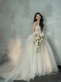 Niulatu Ball Gown Strapless Tulle Lace With Gloves Long Wedding Dresses HZ1110