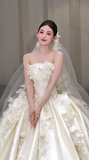 Niulatu Ball Gown Strapless Satin Applique With Veil Long Wedding Dresses HZ1110