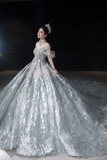 Niulatu Ball Gown Off The Shoulder Tulle Sequin Long Wedding Dresses HZ1110