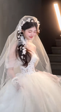 Niulatu Ball Gown Off The Shoulder Tulle Applique With Veil Gloves Long Wedding Dresses HZ1110
