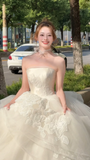 Niulatu Ball Gown Strapless Tulle Applique Long Wedding Dresses HZ1110