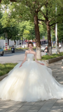 Niulatu Ball Gown Strapless Tulle Applique Long Wedding Dresses HZ1110