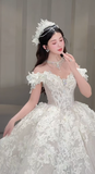 Niulatu Ball Gown Off The Shoulder Tulle Lace Long Wedding Dresses HZ1110
