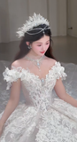 Niulatu Ball Gown Off The Shoulder Tulle Lace Long Wedding Dresses HZ1110