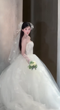 Niulatu Ball Gown Strapless Tulle Applique With Veil Long Wedding Dresses HZ1110