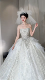 Niulatu Ball Gown Strapless Tulle Sequin With Veil Long Wedding Dresses HZ1110