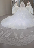 Niulatu Ball Gown V Neck Tulle Lace Long Sleeves With Train Long Wedding Dresses HZ1110
