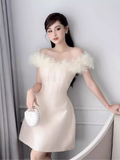 Niulatu A-Line Off The Shoulder Tulle Short Birthday Outfits Homecoming Dress HZ1110