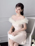 Niulatu A-Line Off The Shoulder Tulle Short Birthday Outfits Homecoming Dress HZ1110