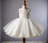 Niulatu Ball Gown Satin Tulle Applique Flower Girl Dress HZ1110