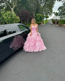 Niulatu Ball Gown Pink Strapless Chiffon Long Prom Dress, Evening Dress HZ1110