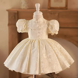 Niulatu Ball Gown High Neck Satin With Short Bubble Sleeves Flower Girl Dress HZ1110