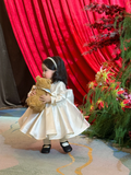 Niulatu Ball Gown Satin With Long Sleeves Flower Girl Dress HZ1110
