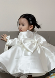 Niulatu Ball Gown Satin With Long Sleeves Flower Girl Dress HZ1110