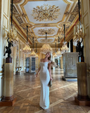 Niulatu Bodycon Mermaid Spaghetti Straps Satin Long Prom Dress, Evening Dress HZ1110